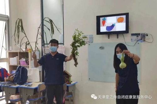 天津自闭症干预训练——留住夏日美好，变身小小“蔬菜艺术家”